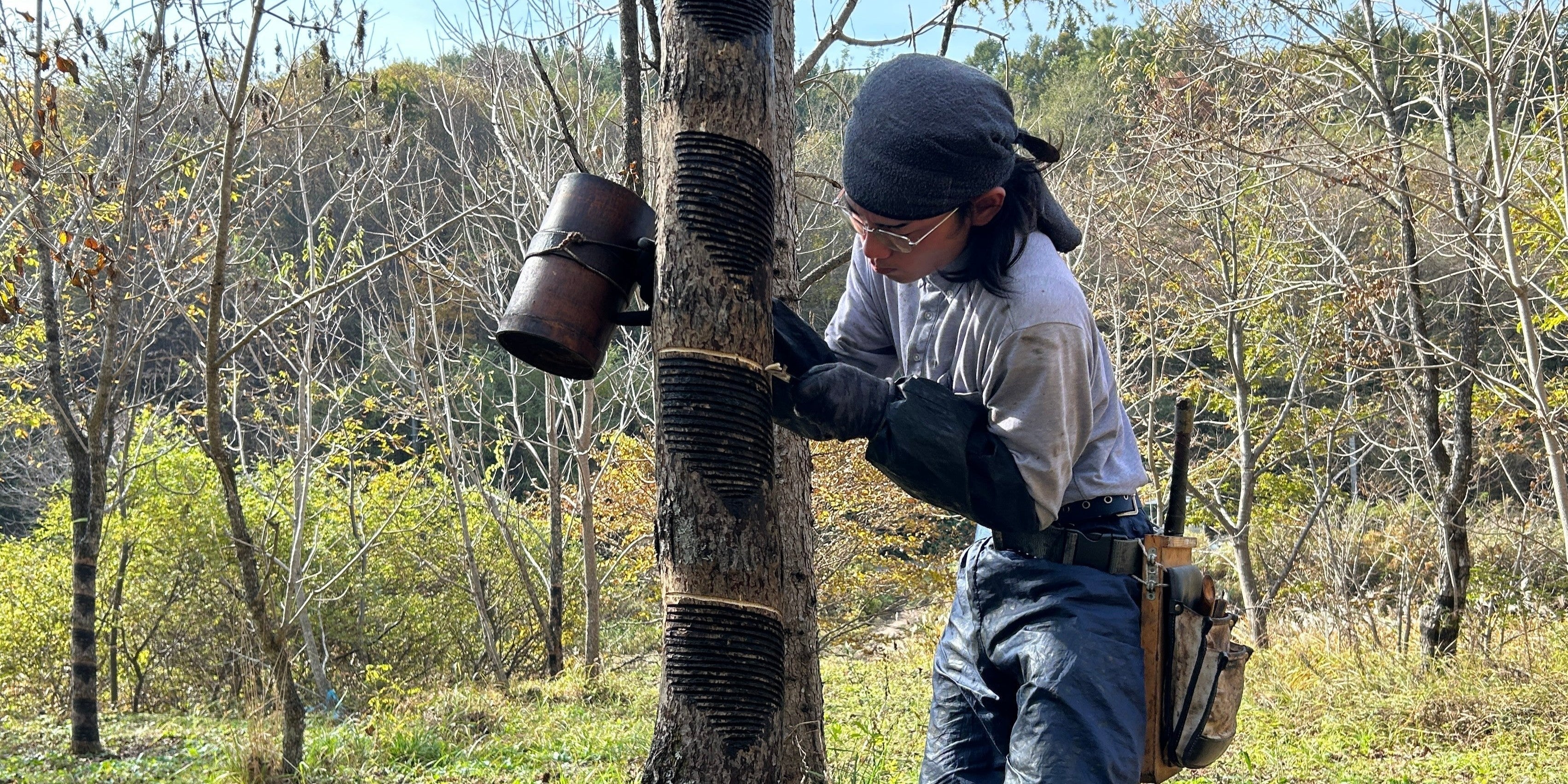 【伝統工芸の旅】浄法寺漆の里へ!国産漆の採取と活用を学ぶ(岩手県)
