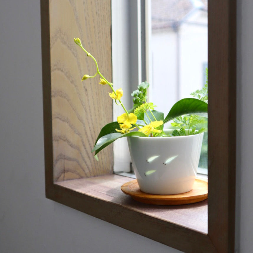 波佐見焼 カップ | ほたるメダカ 2個セット | M | 光春窯