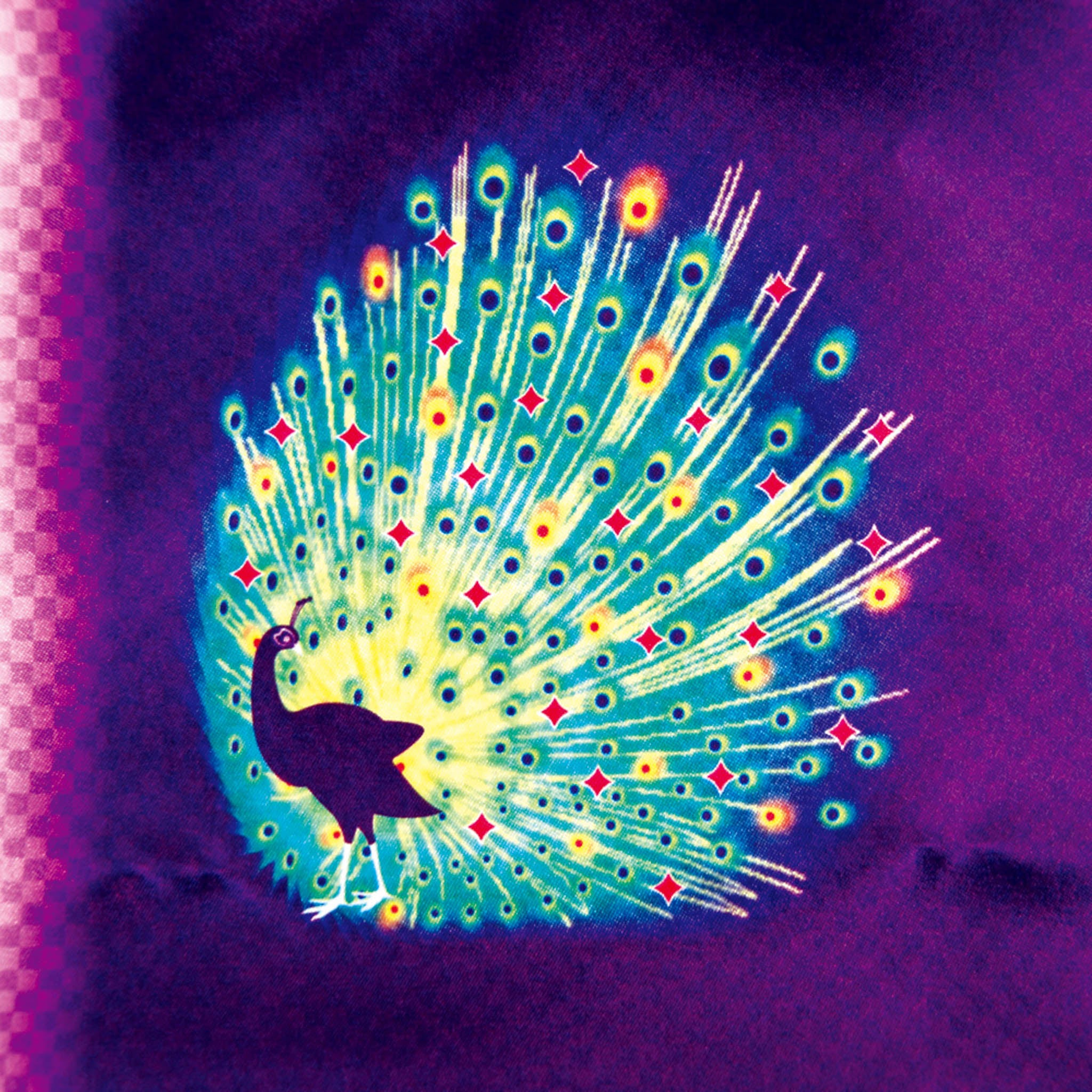 鯉のぼり | 室内飾り | 星歌友禅セット | 徳永こいのぼり