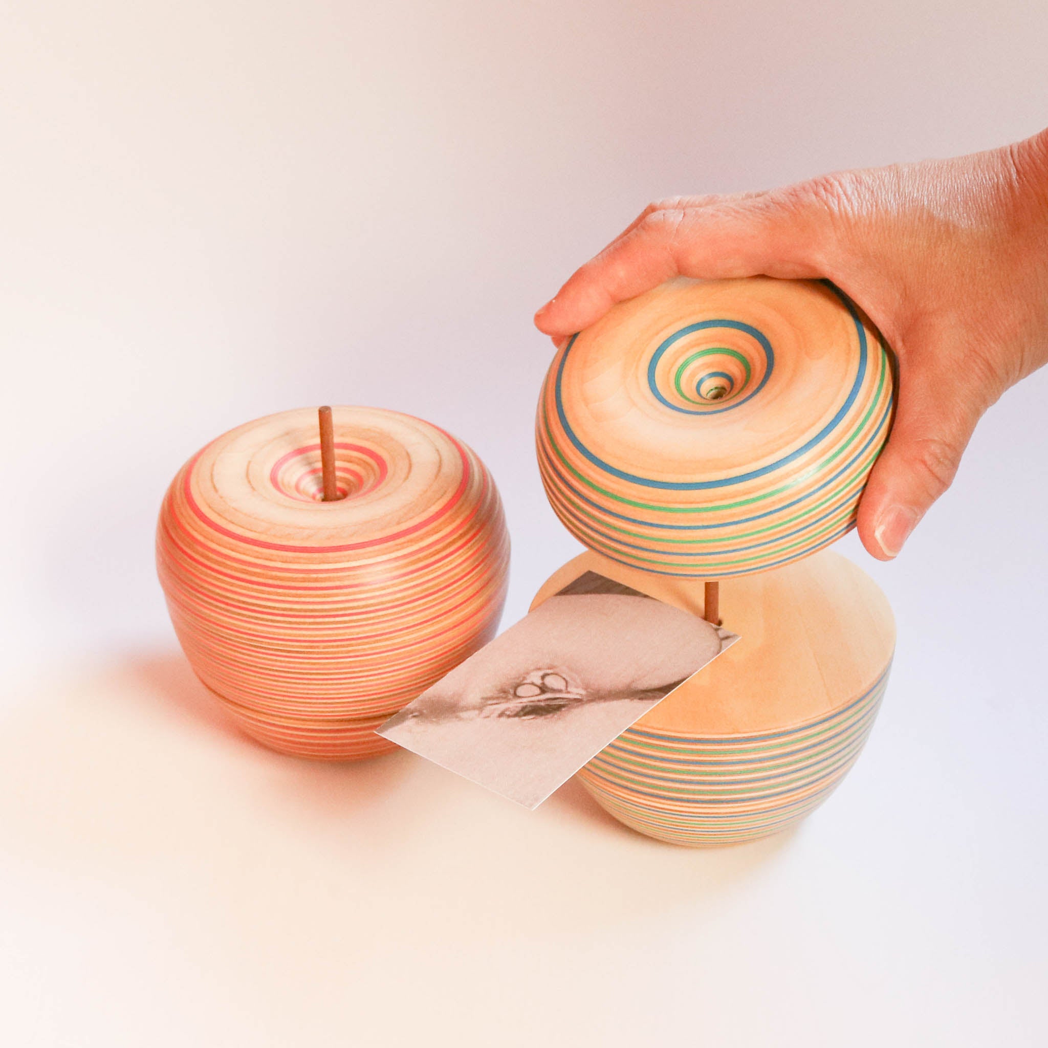 木工品 カードホルダー | ringo 1 | blue-green | PLYWOOD laboratory