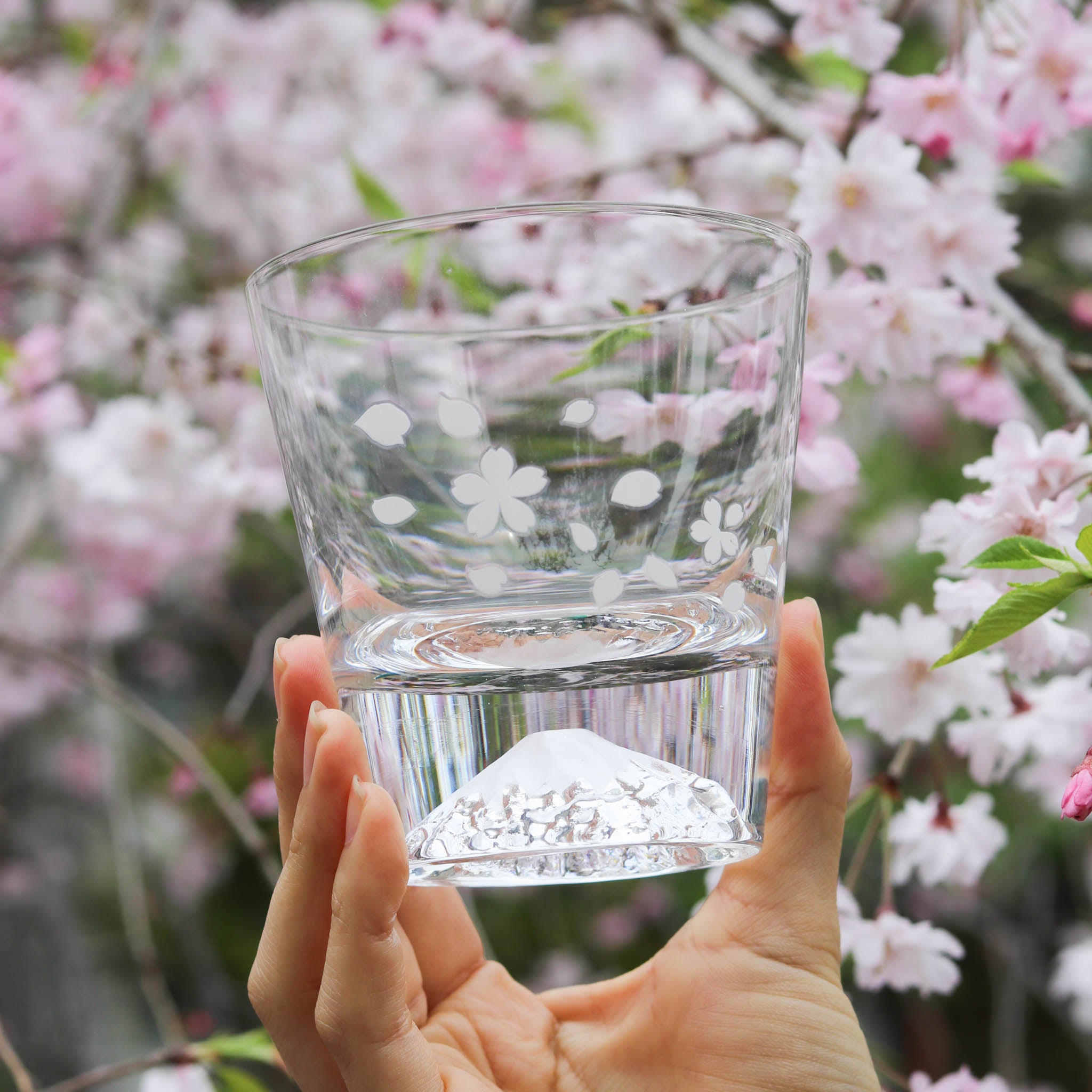 江戸硝子 ロックグラス | 冷感桜舞富士山 | 丸モ高木陶器