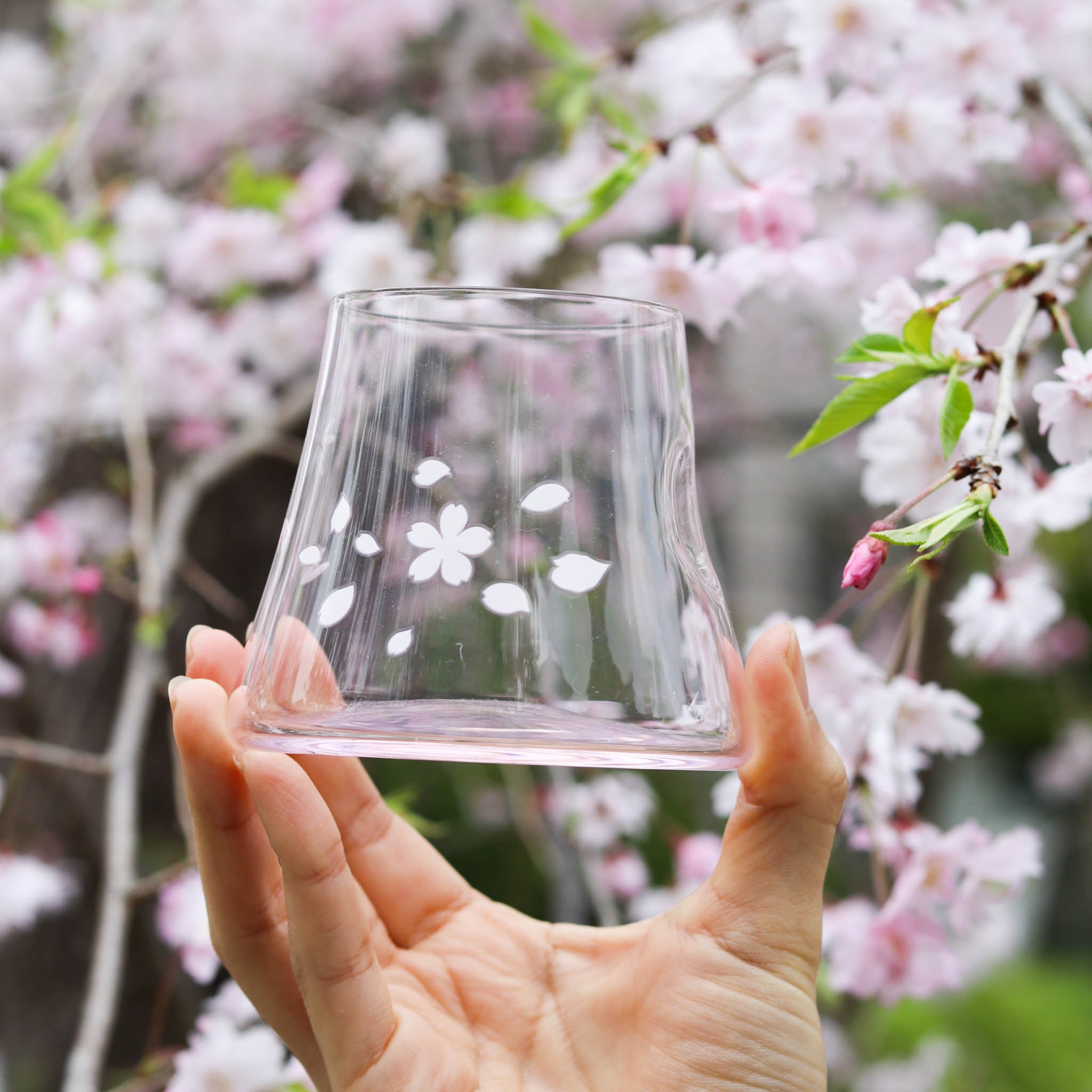 江戸硝子 宝永グラス | 冷感桜舞富士山 | ピンク | 丸モ高木陶器
