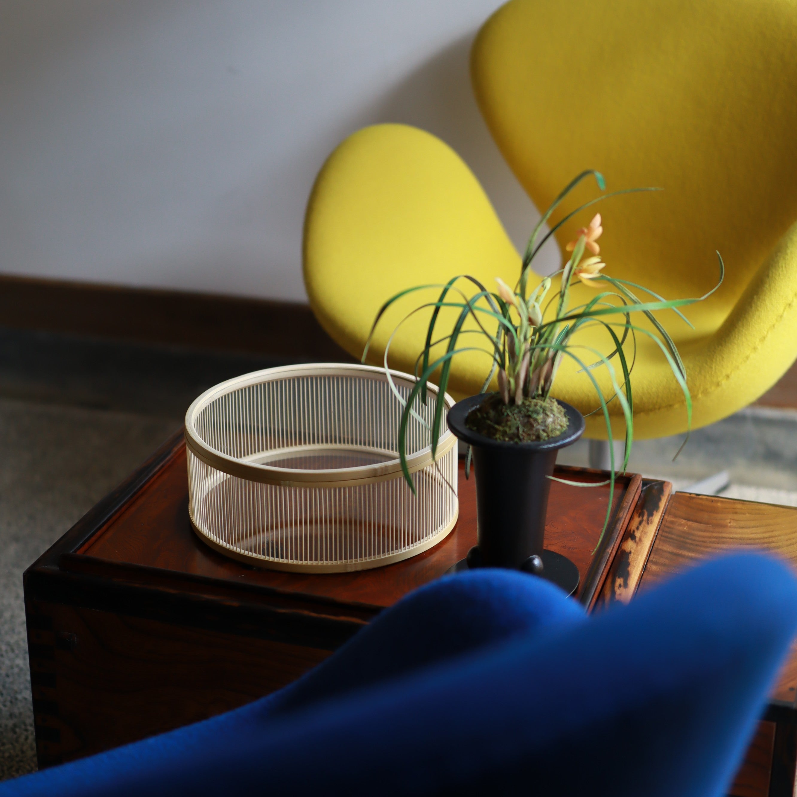 駿河竹千筋細工 菓子器 | カラ | hounobi