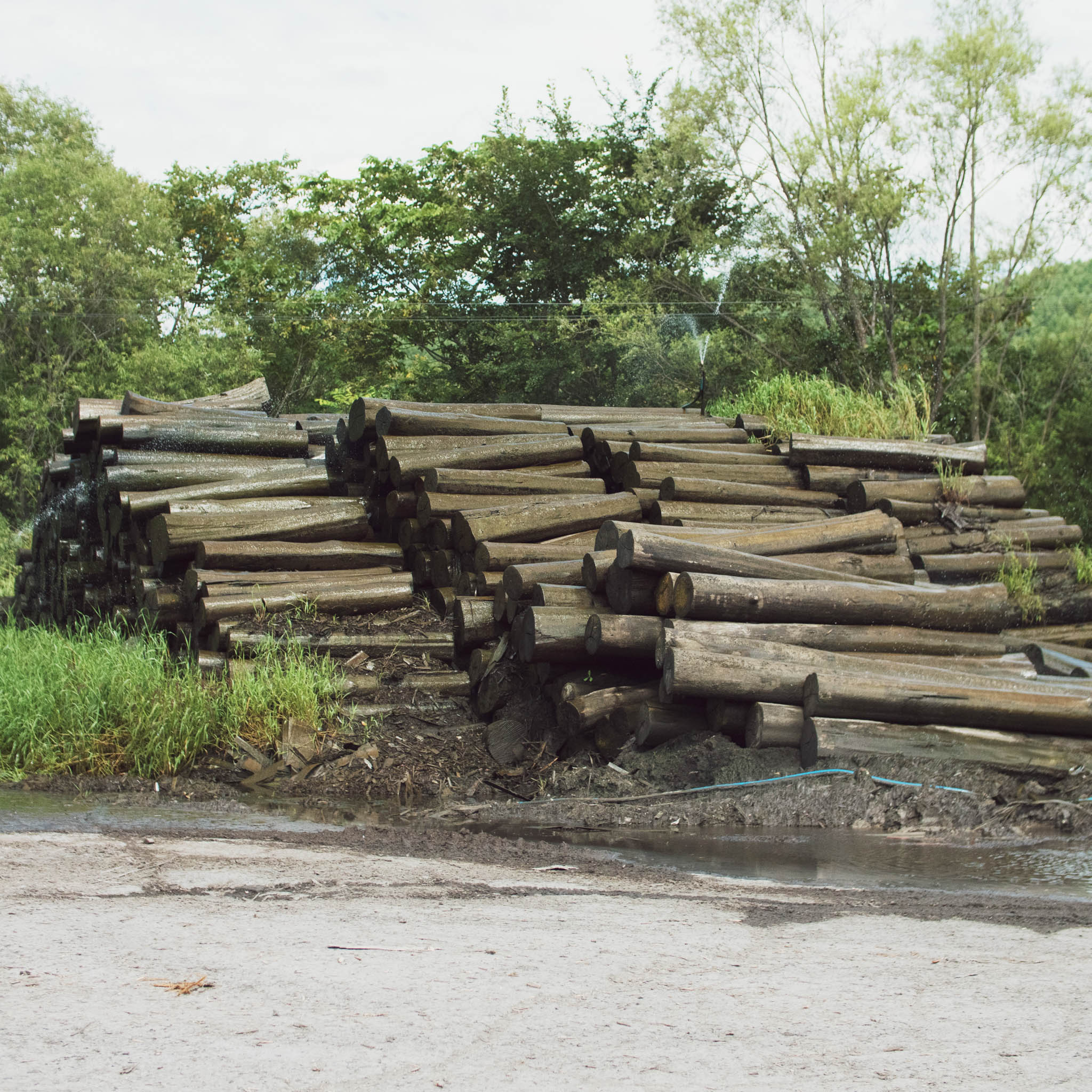 木工品 フォトフレーム | PW frame S1 | blue-green | PLYWOOD laboratory