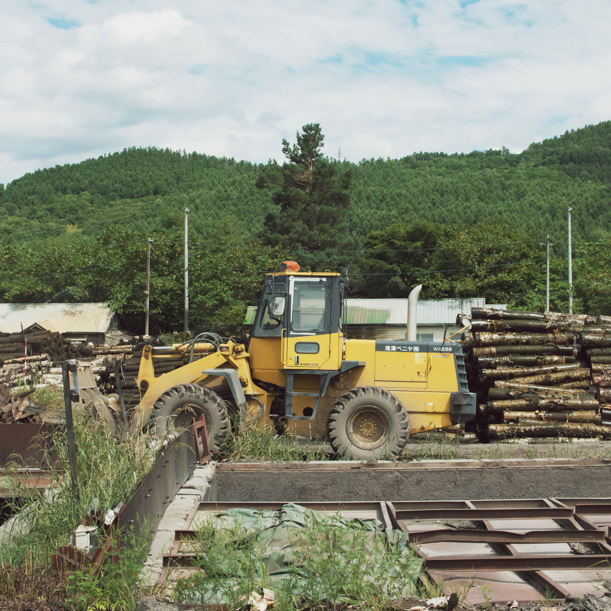 木工品 フォトフレーム | PW frame S1 | blue-green | PLYWOOD laboratory
