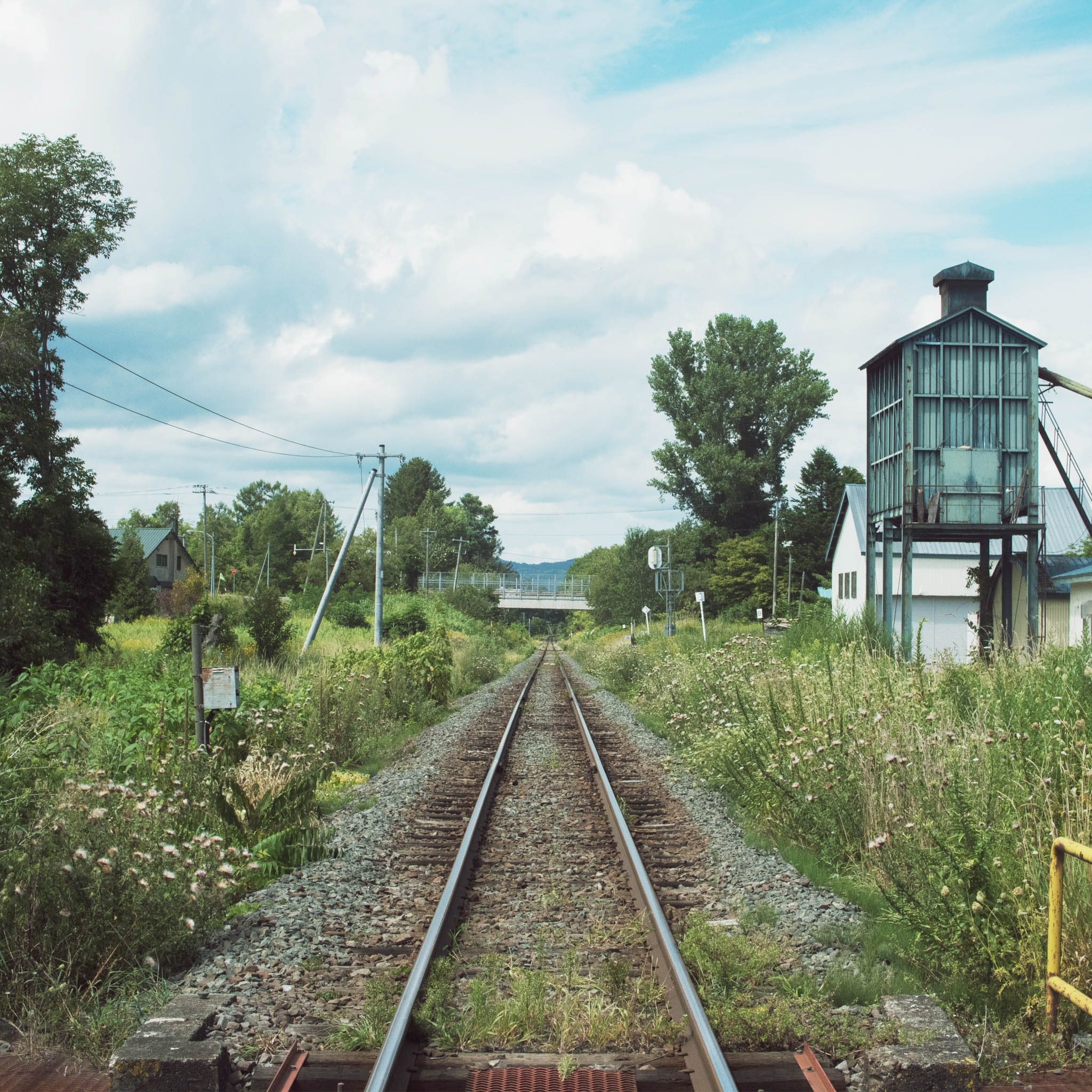 木工品 フォトフレーム | PW frame S1 | blue-green | PLYWOOD laboratory