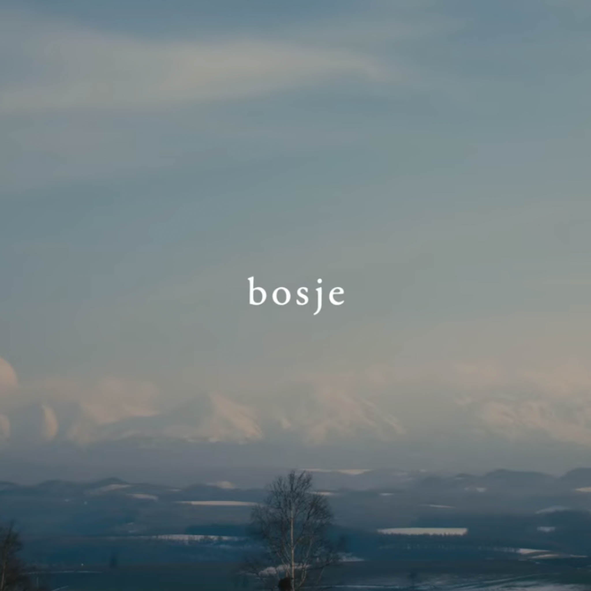 木工品 フォトフレーム | PW frame S1 | blue-green | PLYWOOD laboratory