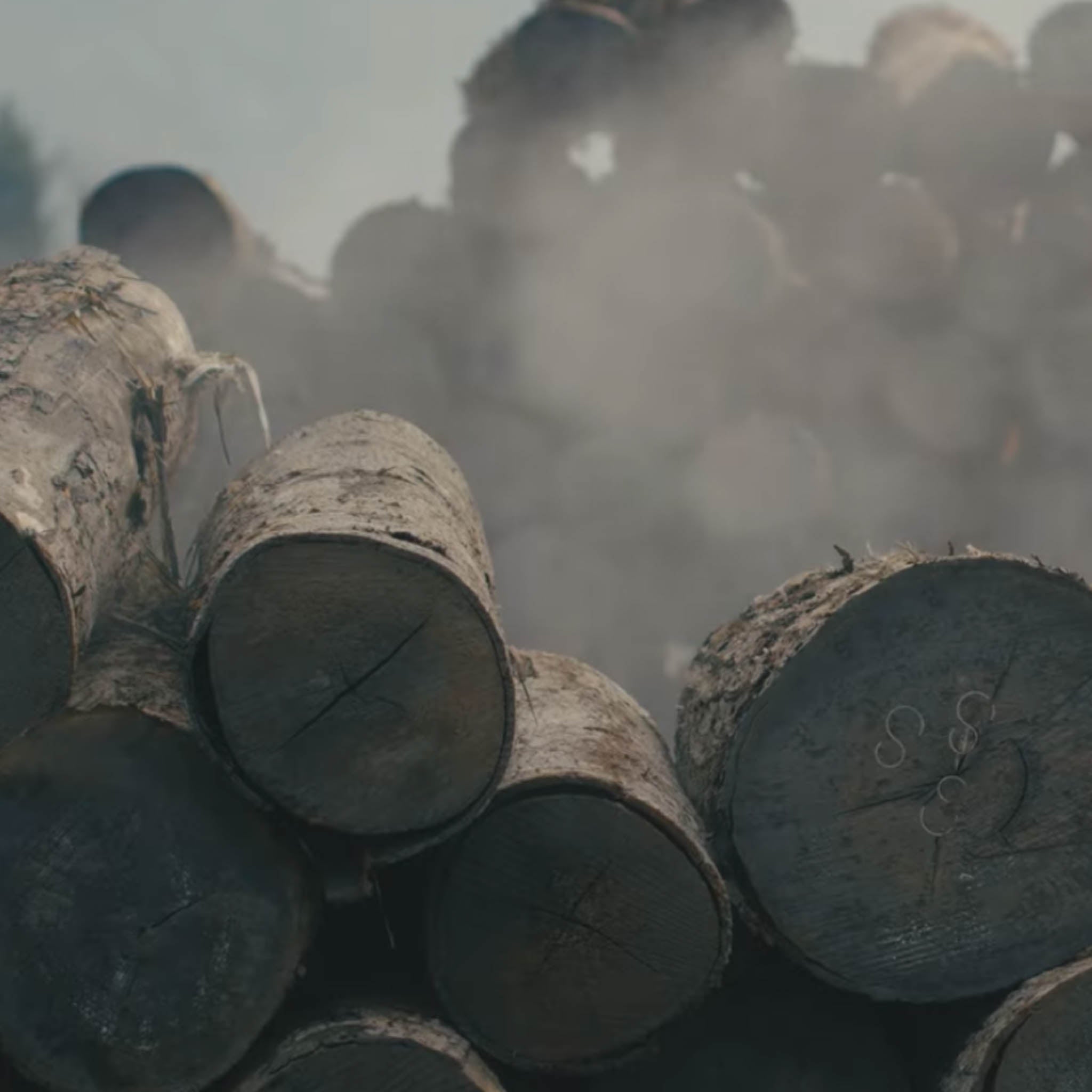 木工品 フォトフレーム | PW frame S1 | blue-green | PLYWOOD laboratory