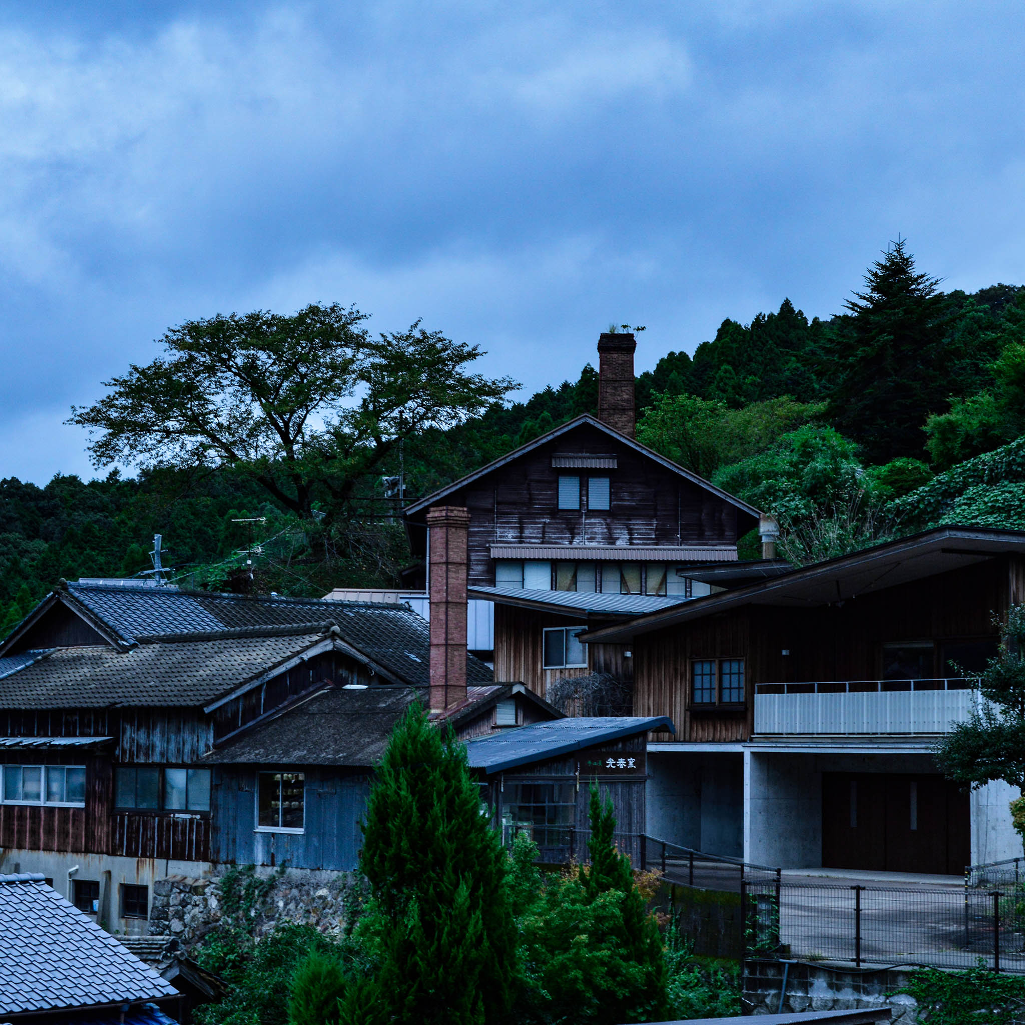 波佐見焼 フリーカップ | ほたるメダカ  | L | 光春窯