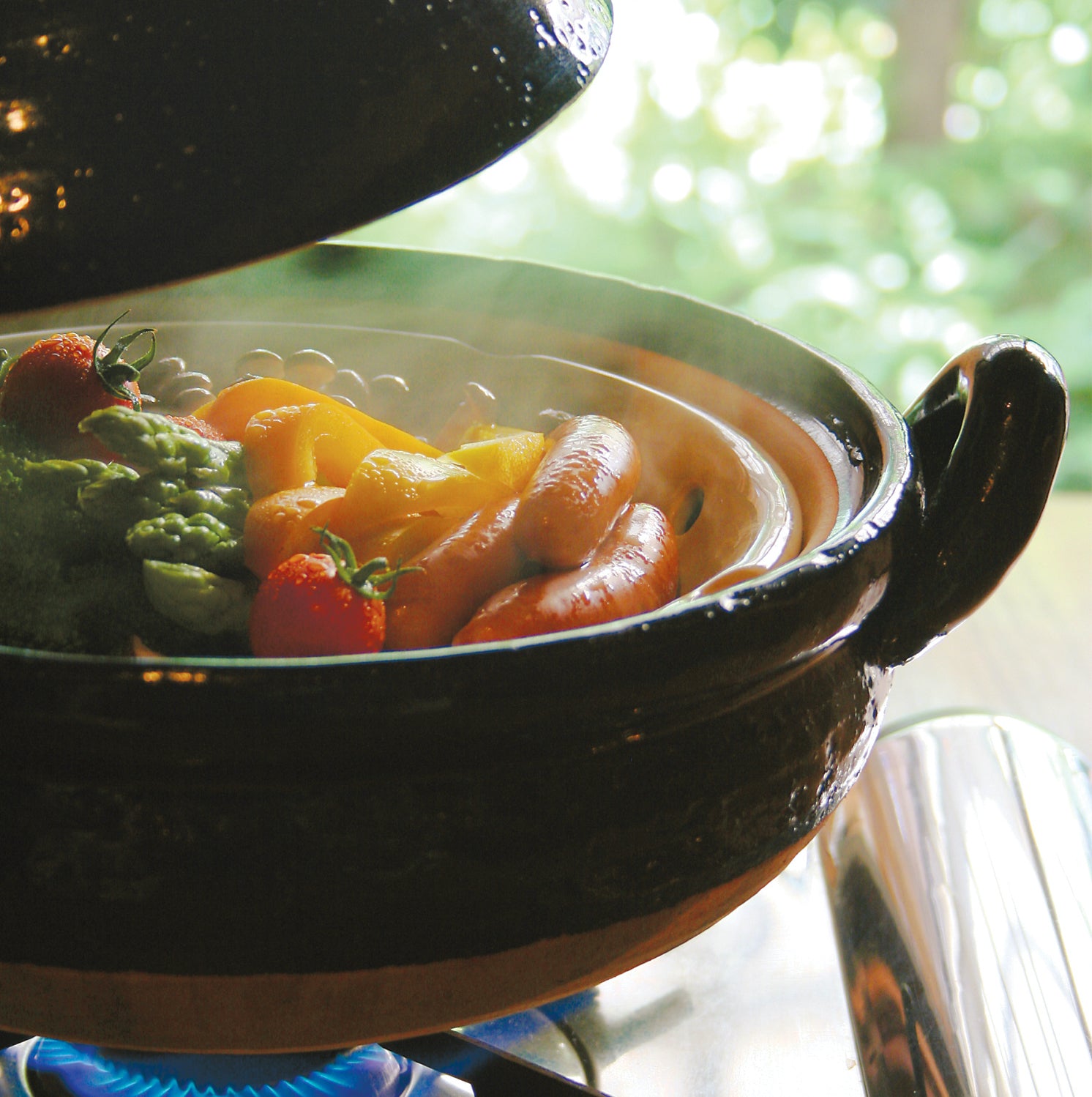 伊賀焼 鍋 | ヘルシー蒸し鍋 黒 | 大 / 中 | 長谷園