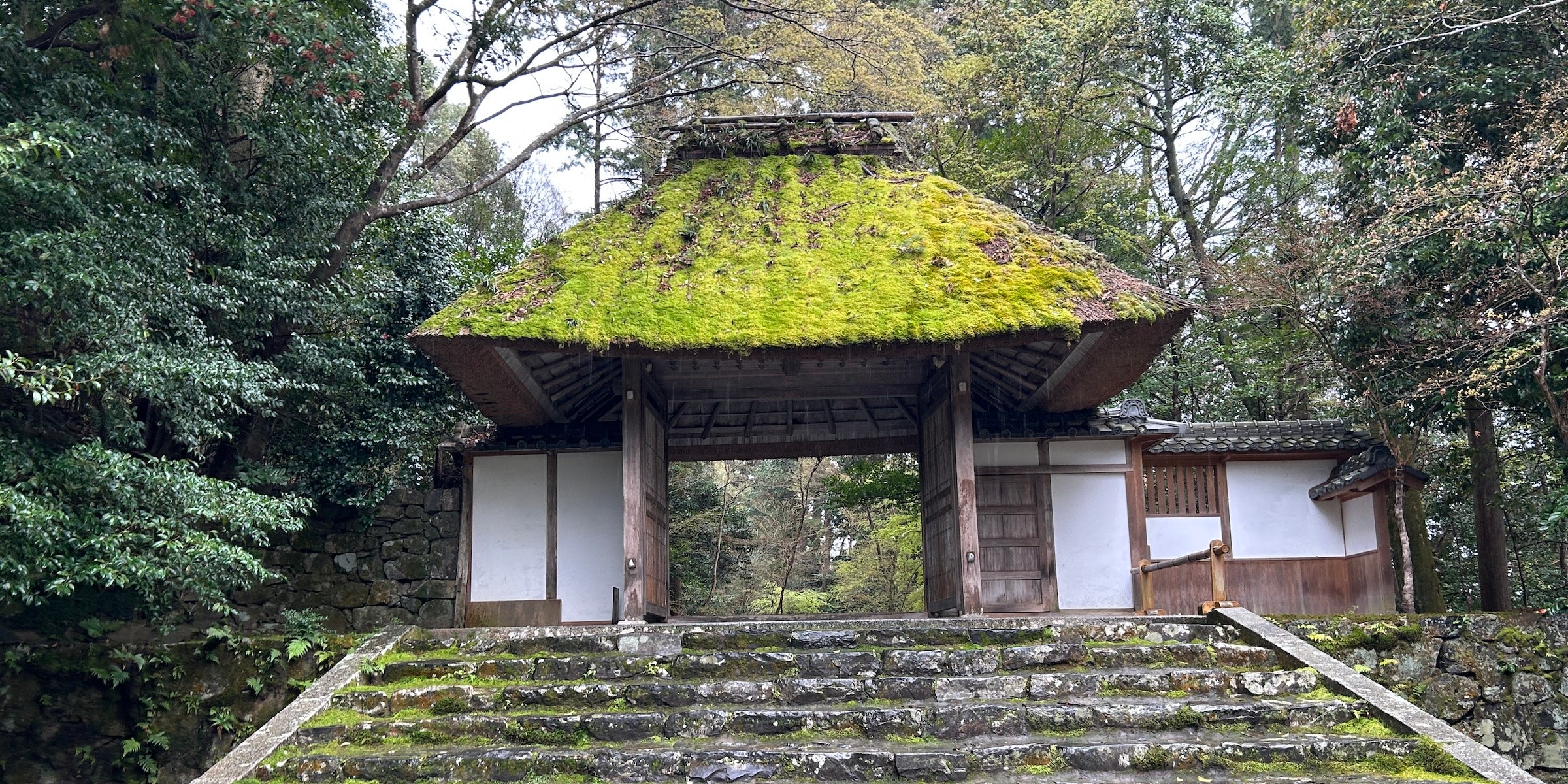和風月名とは？旧暦・二十四節気・七十二候との違いをわかりやすく解説