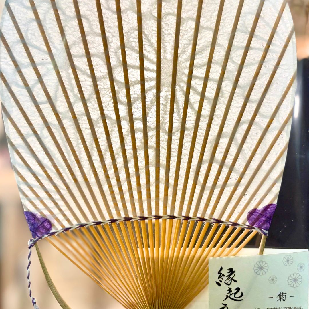丸亀うちわ | 縁起柄 | 菊 | うちわ屋 涼
