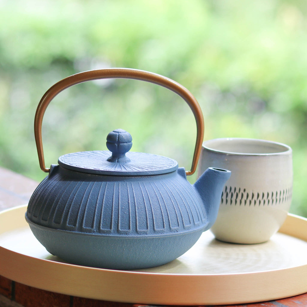 南部鉄器 鉄急須 岩鋳 「志ほり」 新品未使用 タグ付き 箱に経年劣化 