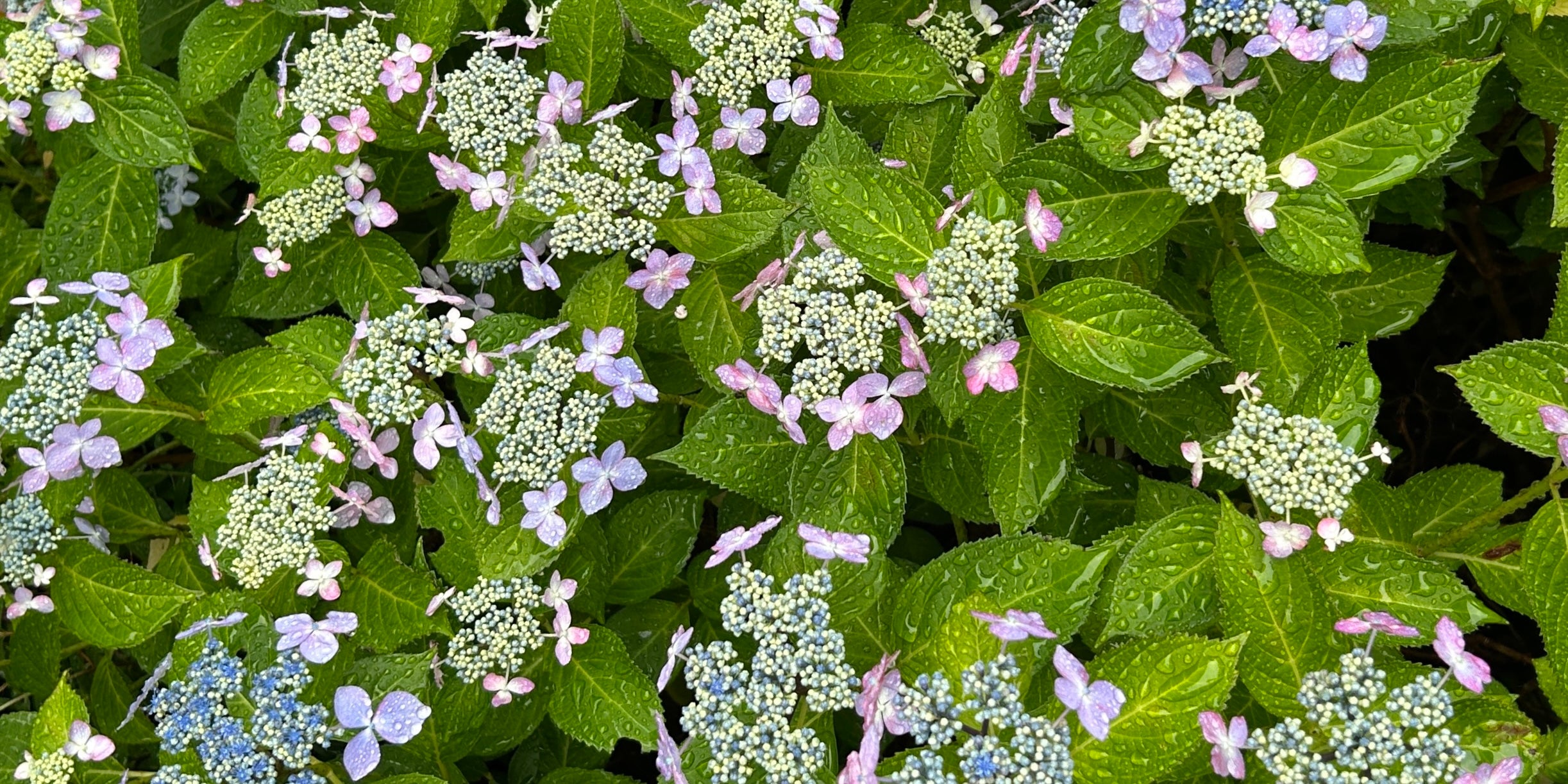 日本工芸堂|暮らしと想いをつなぐ工芸専門店 日本工芸堂|暮らしと想いをつなぐ工芸専門店