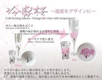 冷感グラスシャンパングラス桜ペアセット【桜箱】